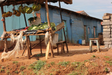 Cabbage, bananas and tomatoes. According to a friend, Msingi Sasi: "In Kenya they call this type of fruit and vegetable vending a 'kibanda'. A 'kibanda' is kind of make-shift shop most commonly found in the open air markets or on the road side."