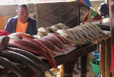 A very wide range of fish was available and it was all fresh.