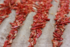 Chili peppers, stage 3.