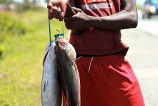 Selling freshly caught fish on the roadside. The beach and some boats are across the street.