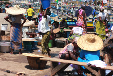 Elmina fish market. Like all markets in the two cities I've visited, only women do the selling.