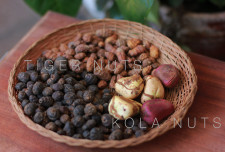 Today I tried some tiger and kola nuts for the first time. You couldn't find two more contrasting flavours.<br />
The tiger nut was surprisingly sweet. In the end, it was made into a dessert which tasted a little like custard or vanilla pudding.<br />
<br />
Tiger nuts are amazing. Check this out: http://news.peacefmonline.com/health/200911/32426.php<br />
<br />
The kola nut was extremely bitter! It had a very earthy taste though, which became more pronounced after having some water. Kola nuts are a stimulant, so if you want to stay up, I was advised that this might be a good solution.