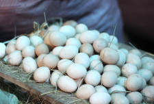 Eggs on display at Shola Market in Addis.